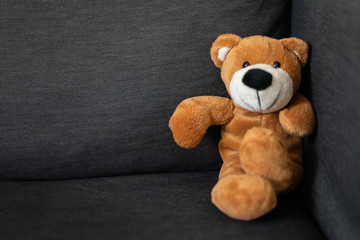 Teddybär sitzt auf einer Couch und schaut
