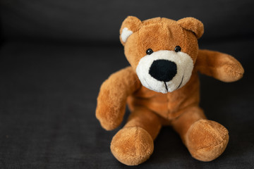 Brauner Teddybär sitzt auf einer Couch und schaut