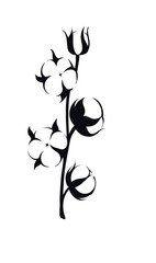 illustration of a cotton branch on a white background
