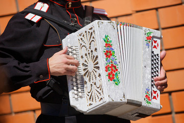 Musical instrument accordion in the hands of a male.