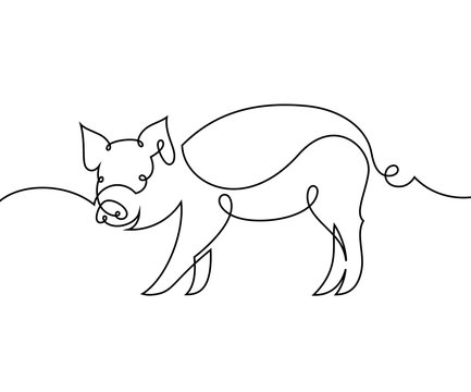 Linear pig. Continuous line drawing