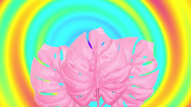 abstract background with mostera leaves