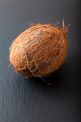 Whole single organic Tropical coconut  fruit on black slate stone background with copy space