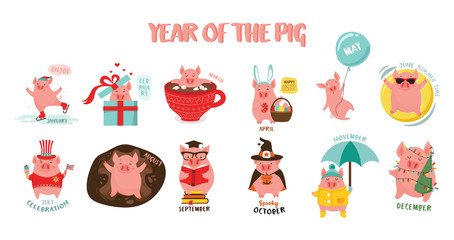 Fototapeta premium Monthly creative calendar 2019 with cute pig. Symbol of the year in the Chinese calendar. Cartoon. Isolated. Vector illustration.