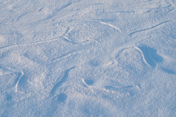 Background, texture - surface covered with fresh soft snow.