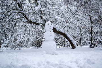 A cute snowman in the winter park.