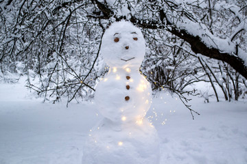 A cute snowman in the winter park.
