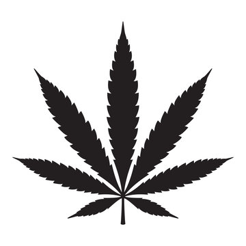Marijuana vector cannabis leaf weed icon logo symbol sign illustration graphic