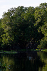Fototapeta premium Guatemalan river