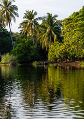 Obraz premium Guatemalan river