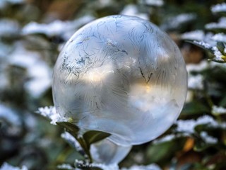 bubble
