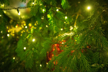 Fototapeta na wymiar Christmas Tree Decoration