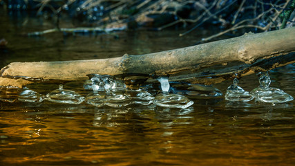 Fototapeta premium frozen water