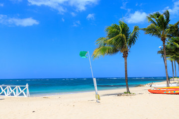 Green flag on the beach indicates no danger when bathing. Dominican Republic