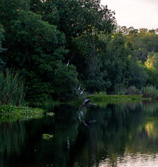 Guatemalan river