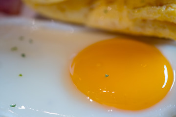 Close up of fried yolk yellow eggs