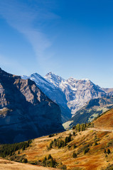 Panoramic view of  Swiss alps mountain rage from Eigergletscher, Jungfrau region - Switzerland
