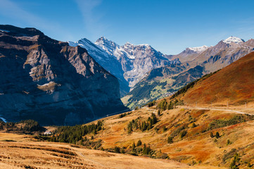 Panoramic view of  Swiss alps mountain rage from Eigergletscher, Jungfrau region - Switzerland