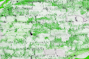 white brick wall locally painted with green paint