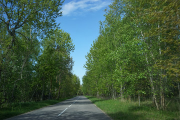 Fototapeta na wymiar Landscape with the road to the Curonian spit, Kaliningrad region.
