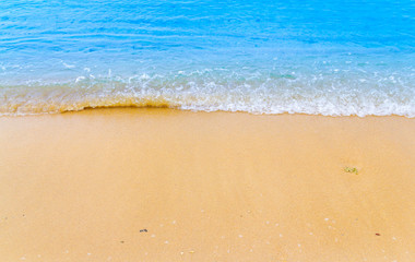 Fototapeta na wymiar ocean blue wave on sandy beach with sea shell summer background