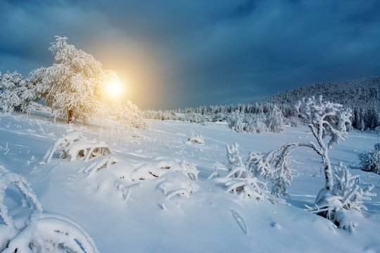 stunning winter dawn image, wonderful morning sunrise, frozen trees on background hills, amazing nature background landscape, Carpathians, Ukraine, Europe 