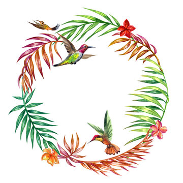 Frame of palm leaves, frangipani flowers and hummingbirds, tropical decor, watercolor painting on a white background isolated with clipping path