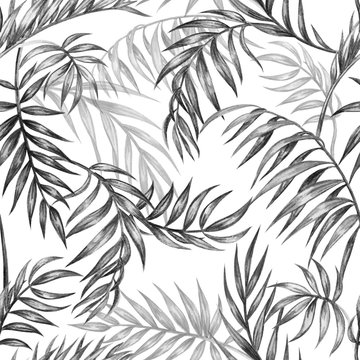 Seamless black and white pattern of palm leaves, tropical background, hand drawing
