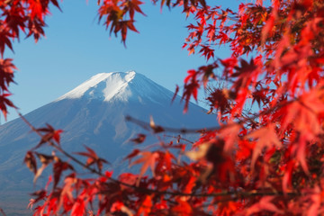 Mt.Fuji in autumn, Japan