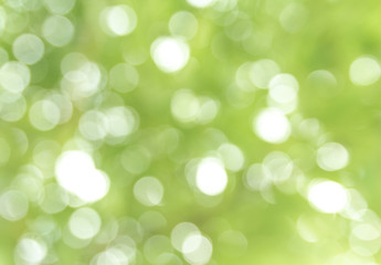 Natural green bokeh abstract background