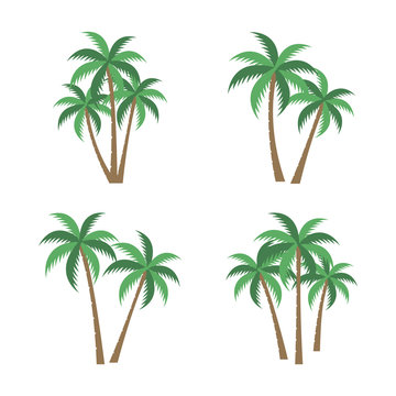 [PALM TREE SET] A palm tree vector set.