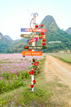 Bac Son Flower Valley or Thung Lung Hoa Bac son in Vietnamese, Lang Son, Vietnam