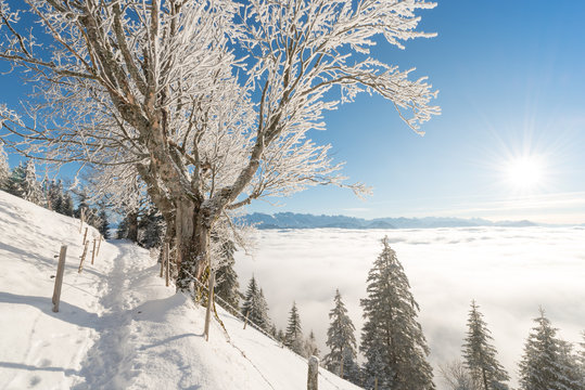 Joyful winter day before the Christmas holiday.  Road to the mountains. Switzerland. Rigi