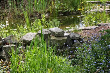 Fr&uuml;hling im Naturgarten
