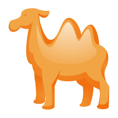 Camel icon. Cartoon of camel vector icon for web design isolated on white background