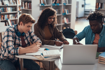 Cheerful lady smiling while doing homework with friends