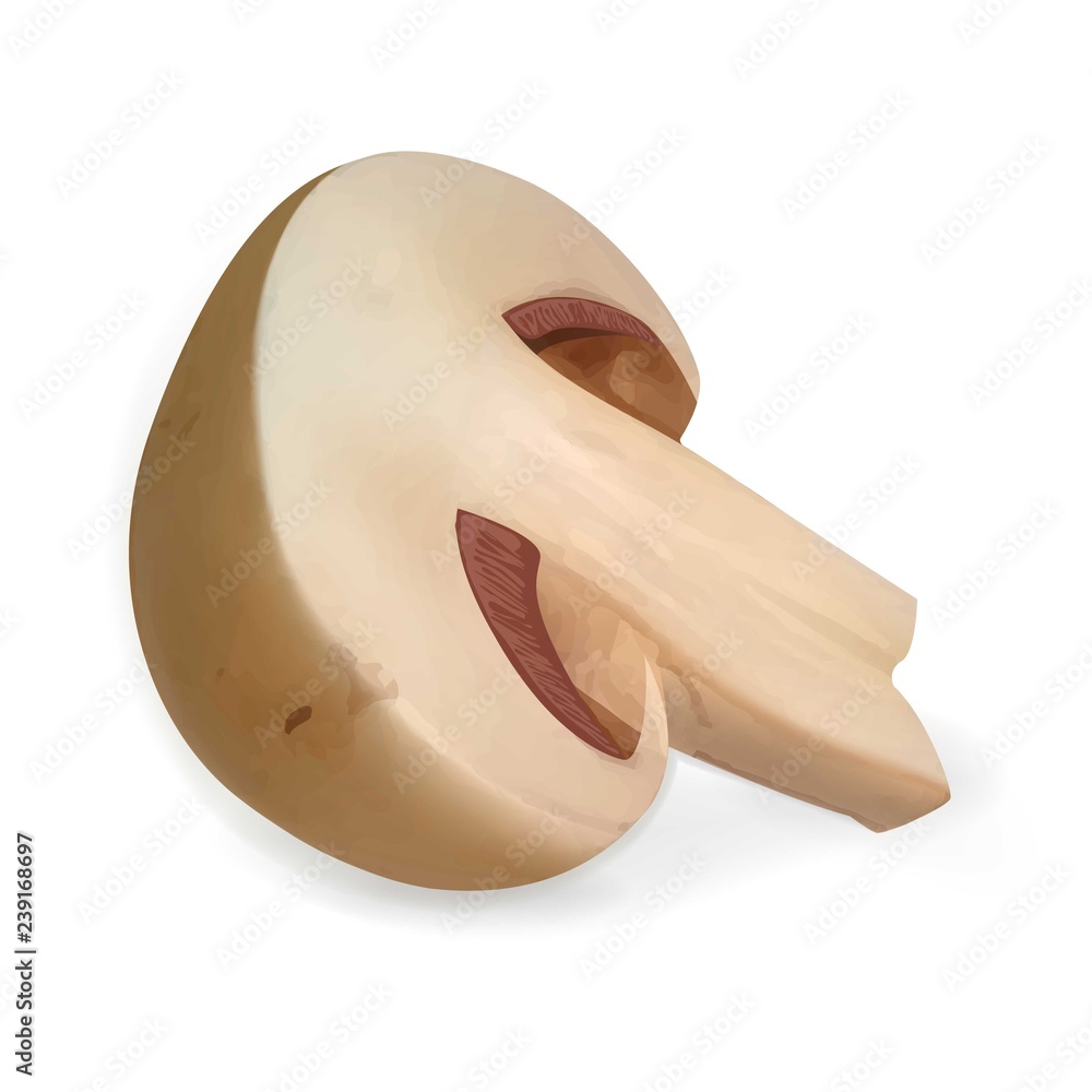 Poster half champignon icon. realistic illustration of half champignon vector icon for web design isolated 
