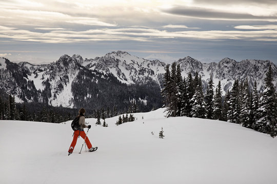 people snow shoeing and skiing on mt rainier in washington state