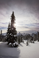 Obraz premium The snow covered cascade mountains in washington state, mt rainier national park
