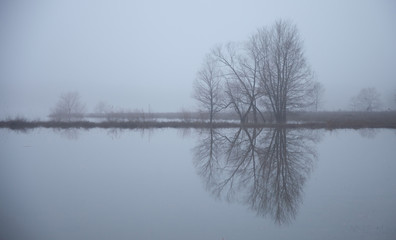 Fototapeta na wymiar Symmetric reflection of trees on foggy, misty lake in the fall or winter