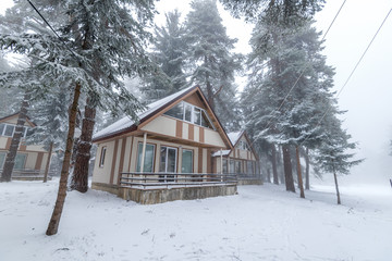 Fototapeta na wymiar House in a snowy forest.