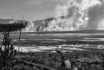Midway Geyser Basin and the Grand Prismatic Spring in Black and White