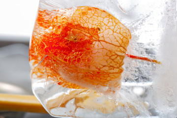 Physalis in Eis