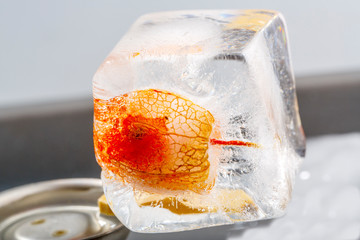 Physalis in Eis