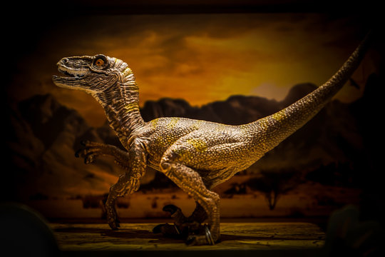 Fototapeta show case, realistic dinosaurs plastic toy in the box on the shelf. Low key dark light.