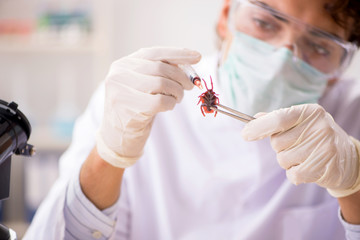 Male entomologist working in the lab on new species