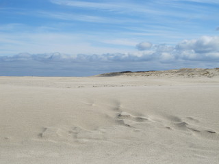 Strand der Nordseeinsel Wangerooge (Niedersachsen)