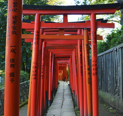 Fototapeta na wymiar Nezu Shrine, a shinto shrine in Tokyo, Japan