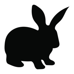 Fototapeta premium Rabbit
