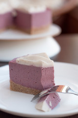 Piece of raw cheesecake (cashewcake)